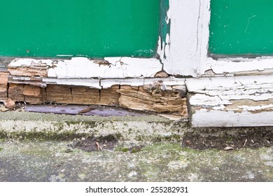 Close Up Of Part Of A Wooden Window Frame Showing Extensive Rot