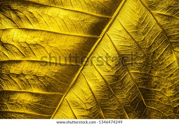 Close Patterns On Gold Leaf Bodhi Stock Photo Edit Now 1346474249