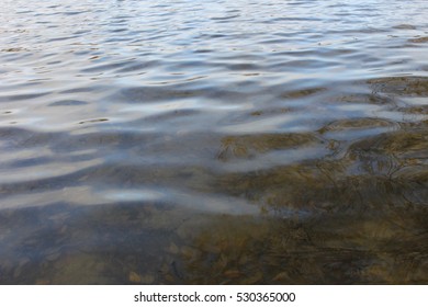 Close Up Of The Peaceful Lake At Sywell Country Park, England, UK.