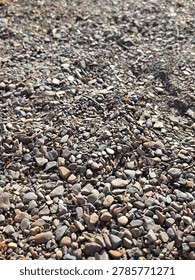 Close Up Of A Pebble Beach With Irregular Shaped Stones Mixed Colours Natural Tones And Scattered Twigs 