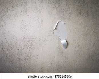 Close Up Of Peeling Egg Shell Colour Painted On White Cement Wall And Dirty Surface With Mold On The Wall In The Old House 