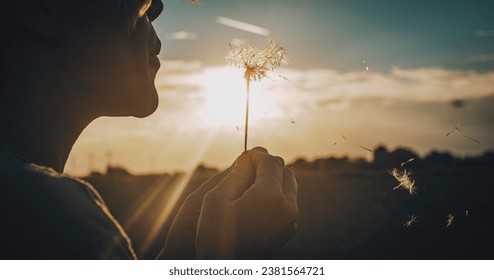 Close up of people blowing big dandelion flower with sunset light and field in background. Outdoor leisure activity and nature love concept lifestyle. Freedom and daydreaming. Daydreamer person - Powered by Shutterstock