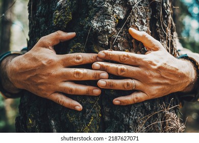 Close up of people hands hugging a trunk tree with love and protection concept. Stop deforestation and climate change. Global warming earth's day. Nature help activity. Man protect planet environment - Shutterstock ID 2187627071