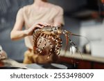 Close up of person holding large lobster in kitchen setting, preparing for dinner