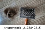 Close up pet hair brush with pet fur clump after grooming cat