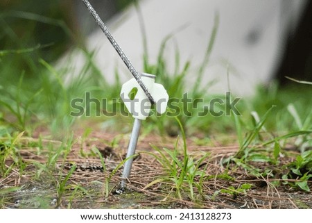Close up photo of an aluminum tent peg with rope stuck into the ground at a camping site. A tool for tightening and strengthening tents from wind and natural disturbances.