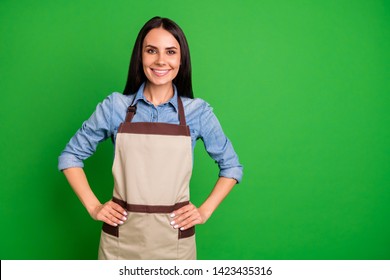 46,244 Woman Apron Isolated Stock Photos, Images & Photography ...