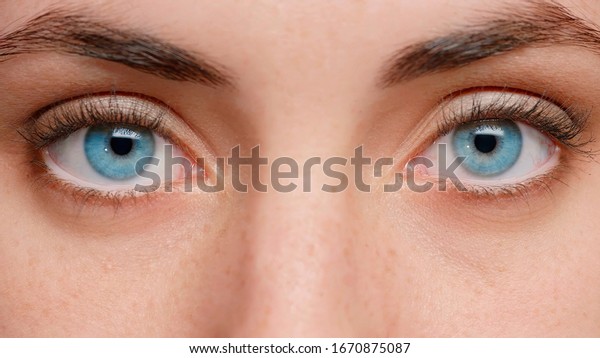 Close up\
photo. Blue eyes of the girl near. Clean skin and well-groomed.\
Beautiful eyebrows. In the eyes of\
reflection.