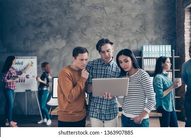 Close Up Photo Business People Financial Faculty Thoughtful Pensive Look Reader Notebook Resourceful Smart Clever Discuss Income Changes Screen Ideas Genius Report Development Investment Formal Wear