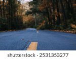 Close up photo of a county road in Cuivre River State Park, located in Troy, Missouri.