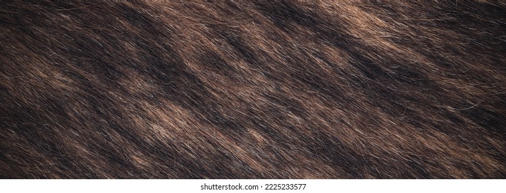 Close Up Photo Of Dark Drown Fur Texture Background