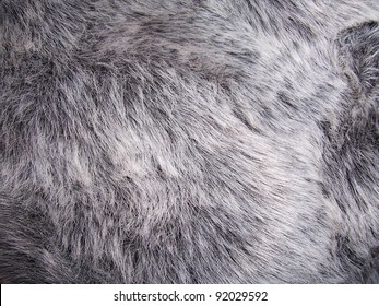 Close Up Photo Of Faux Fur