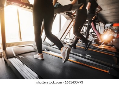 Close up photo of female legs in sportswear and sneakers running on a treadmill in the gym against the window. Sun glare from the window. Concept of healthy sports life.. - Powered by Shutterstock