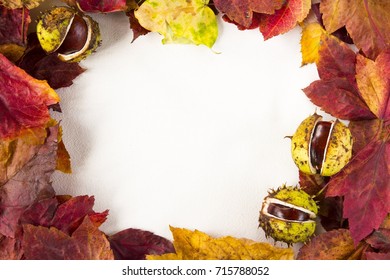 Close up photo of frame made of passel dry autumn fall foliage in warm colors three conkers,(chestnuts, buckeyes) recumbent on piece of raw cotton in beige color - Shutterstock ID 715788052