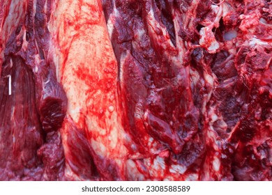Close up photo of fresh raw beef. thick flesh. Eid al-Adha.