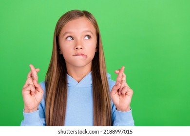 Close Up Photo Of Funky Small Girl Fingers Crossed Worry Exam Results Dressed Stylish Blue Sweatshirt Isolated On Green Color Background