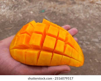 Close up photo of a hand holding a sweet and fresh yellow mango - Powered by Shutterstock