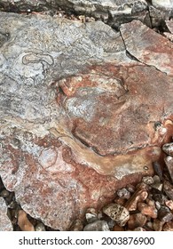 Close Photo Of Large Rock On Alum Cave Trail In The Smoky Mountains On Mt Leconte