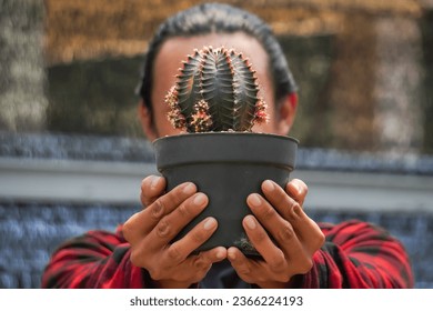 Close up photo - Long haired asian man cactus gardener in red holds a gymnocalycium cactus flower in a greenhouse. Plant shop owner showing plants in store. Small business entrepreneur, Urban Farming - Powered by Shutterstock