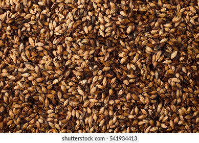 Close Photo Up Of Malt Grains