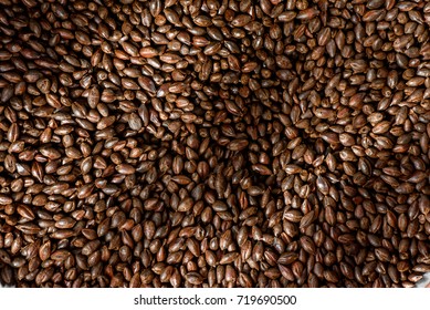 Close Up Photo Malt Grains, Top View