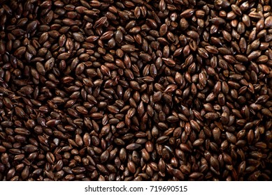 Close Up Photo Malt Grains, Top View