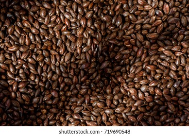 Close Up Photo Malt Grains, Top View