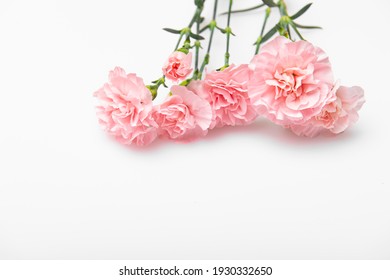 Close Up Photo Of A Pink Carnation Bouquet Isolated Over White Background