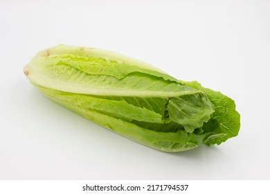 Close Up Photo Of A Romaine Lettuce On The White Background