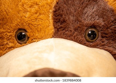 Close Up Photo Of A Teddy Bears Eyes, Soft Toy Eyes Looking