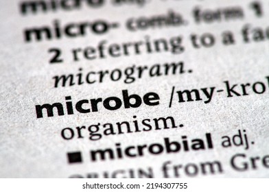 Close Up Photo Of The Word Microbe In A Dictionary Book