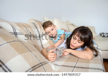close up photo of a young brunette and a 7-years boy playing with a gray kitten sitting on a sofa in a flat