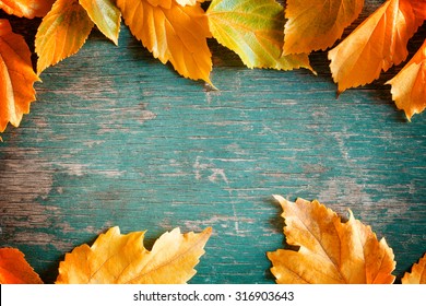 Close Up Photograph Of A Colorful Fall Backdrop