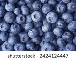 Close up photograph of fresh blueberries. Blueberries are a nutritious, delicious food. Healthy organic eating concept. Anthocyanin gives blueberries  blue colour and health benefits. Background. 
