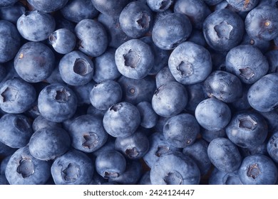 Close up photograph of fresh blueberries. Blueberries are a nutritious, delicious food. Healthy organic eating concept. Anthocyanin gives blueberries  blue colour and health benefits. Background. 