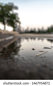 A close up photograph of a rain water puddle on a concrete sidewalk 