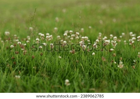 Similar – Family outing to the countryside