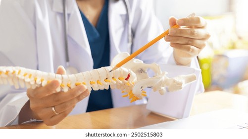 close up physical therapist chiropractor hand pointing on human skeleton at low back to advise and consult to patient to treatment at office for healthcare concept - Powered by Shutterstock