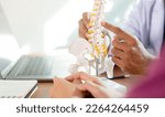 close up physical therapist hand pointing on human skeleton at low back to advise and consult to patient to treatment at office for healthcare concept