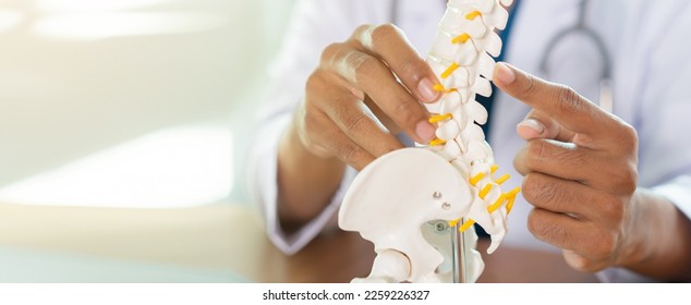 close up physical therapist hand pointing on human skeleton at low back to advise and consult to patient to treatment at office for healthcare concept - Powered by Shutterstock