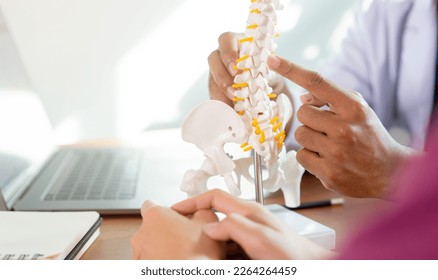close up physical therapist hand pointing on human skeleton at low back to advise and consult to patient to treatment at office for healthcare concept - Powered by Shutterstock