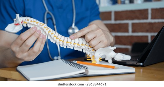 close up physical therapist hand pointing on human skeleton at middle back to advise and consult to patient to treatment at office for healthcare concept - Powered by Shutterstock