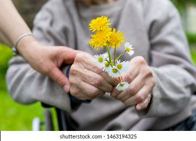 Close up picture of elderly woman with dementia holding flower bouquet given by caretaker - hands