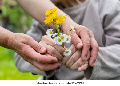 Close Up Picture Of Elderly Woman With Dementia Holding Flower Bouquet Given By Caretaker - Hands