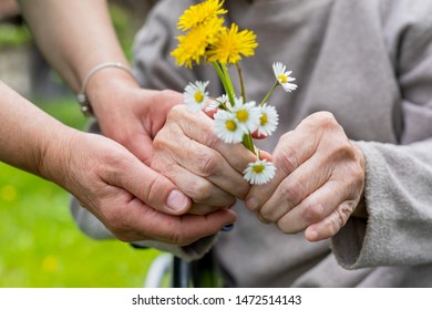 Close Up Picture Of Elderly Woman With Dementia Holding Flower Bouquet Given By Caretaker - Hands