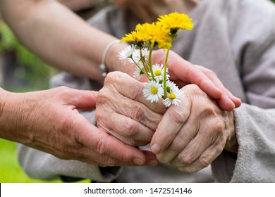 Close Up Picture Of Elderly Woman With Dementia Holding Flower Bouquet Given By Caretaker - Hands