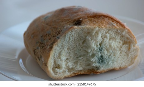 Close up piece of bread covered with mold. Damaged bread with fungus. Spoiled food concept. - Shutterstock ID 2158149675