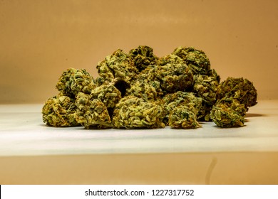 Imagenes Fotos De Stock Y Vectores Sobre Bud Isolated Shutterstock