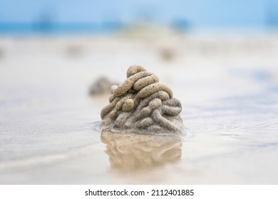 Close Up A Pile Of Sand Form Made By Sea Worm