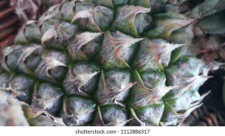 Close up pineapple fruit